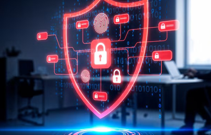 Why Your Business Needs a Data Security Services Provider — And What to Look For